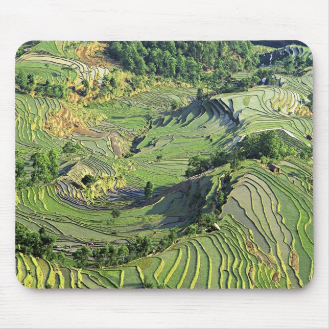 Asia, China, Yunnan, Yuanyang. Pattern of green Mouse Pad (Front)