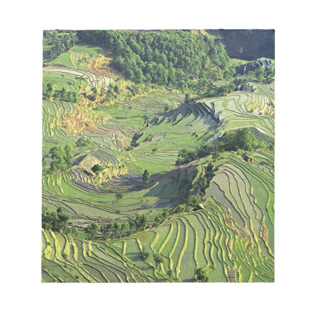 Asia, China, Yunnan, Yuanyang. Pattern of green Notepad (Front)