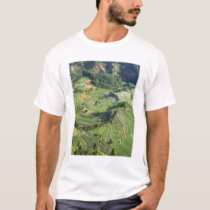 Asia, China, Yunnan, Yuanyang. Pattern of green T-Shirt