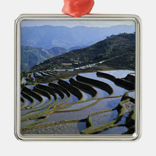 Asia, China, Yunnan, Yuanyang. Rugged Metal Tree Decoration