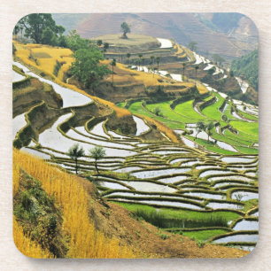 Asia, China, Yunnan, Yuxi Prefecture; Yuanjiang. Coaster
