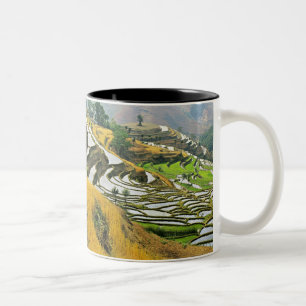 Asia, China, Yunnan, Yuxi Prefecture; Yuanjiang. Two-Tone Coffee Mug