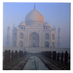 Asia; India; Agra. Taj Mahal. Tile