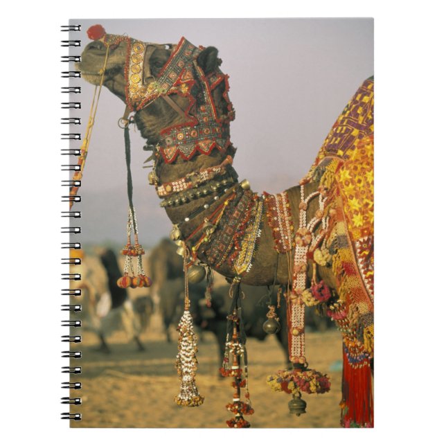 Asia, India, Pushkar. Camel Shamu , Pushkar Spiral Notebook (Front)