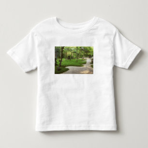 Asia, Japan, Fukuoka, Dazaifu, Komyoji Temple Toddler T-Shirt