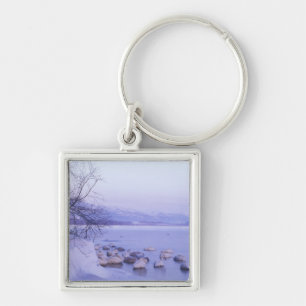 Asia, Japan, Hokkaido, Akan NP, Whopper Swans Key Ring