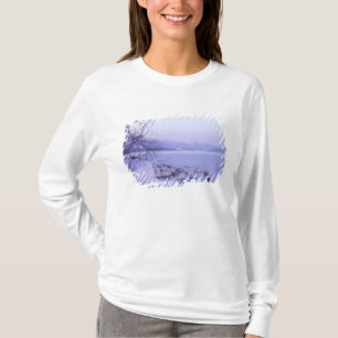 Asia, Japan, Hokkaido, Akan NP, Whopper Swans T-Shirt