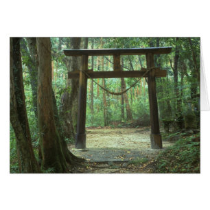 Asia, Japan, Kagoshima, Yakushima, Mountain