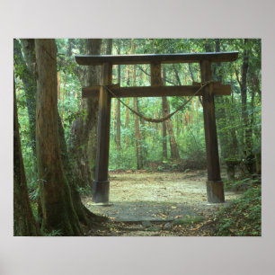 Asia, Japan, Kagoshima, Yakushima, Mountain Poster
