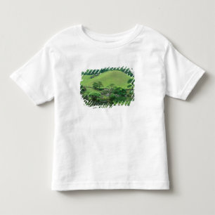 Asia, Japan, Kumamoto, Suizenji Koen Toddler T-Shirt