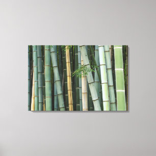 Asia, Japan, Kyoto, Arashiyama, Sagano, Bamboo Canvas Print