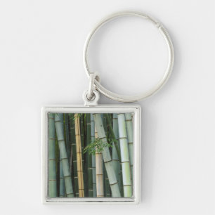 Asia, Japan, Kyoto, Arashiyama, Sagano, Bamboo Key Ring