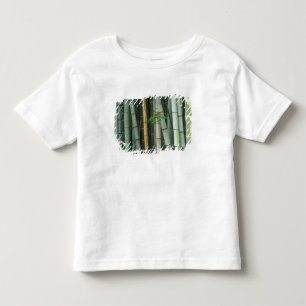 Asia, Japan, Kyoto, Arashiyama, Sagano, Bamboo Toddler T-Shirt