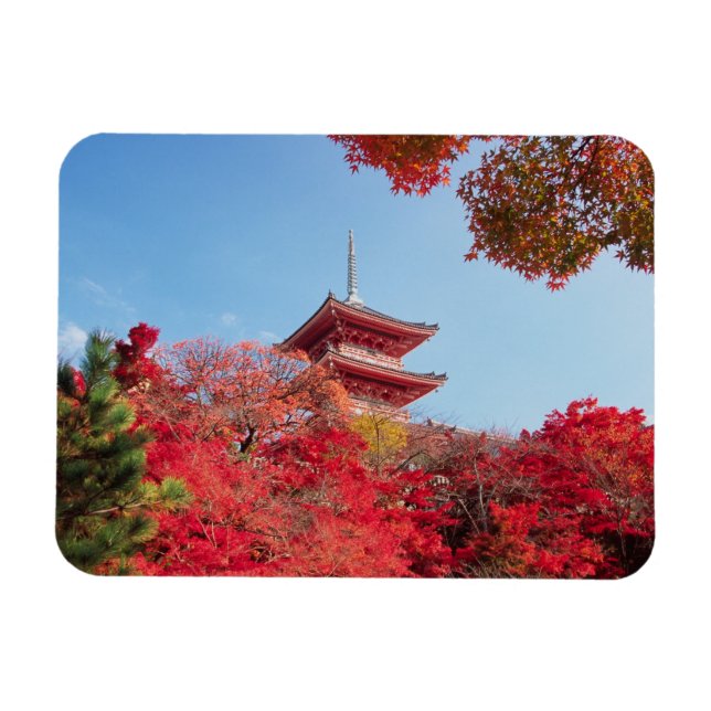 Asia, Japan, Kyoto. Autumn Colour Magnet (Horizontal)