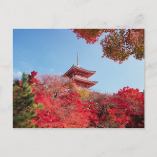 Asia, Japan, Kyoto. Autumn Colour Postcard