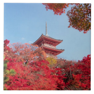 Asia, Japan, Kyoto. Autumn Colour Tile