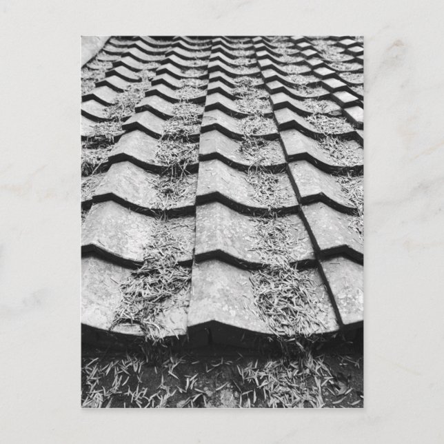 Asia, Japan, Miyajima. Clay roof detail Postcard (Front)