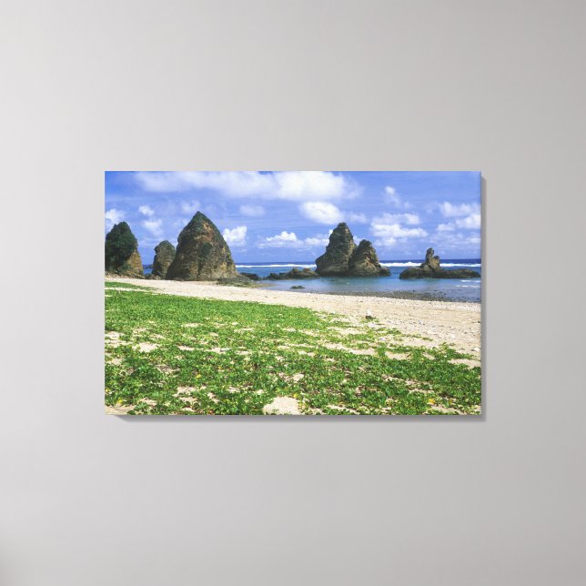 Asia, Japan, Okinawa, Yambaru Coastline, Sea Canvas Print (Front)