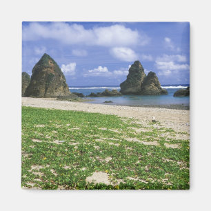 Asia, Japan, Okinawa, Yambaru Coastline, Sea Magnet