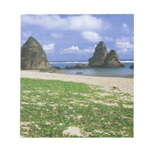 Asia, Japan, Okinawa, Yambaru Coastline, Sea Notepad