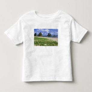 Asia, Japan, Okinawa, Yambaru Coastline, Sea Toddler T-Shirt