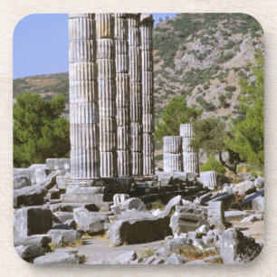 Asia, Middle East, Turkey, Ephesus. Temple of Coaster