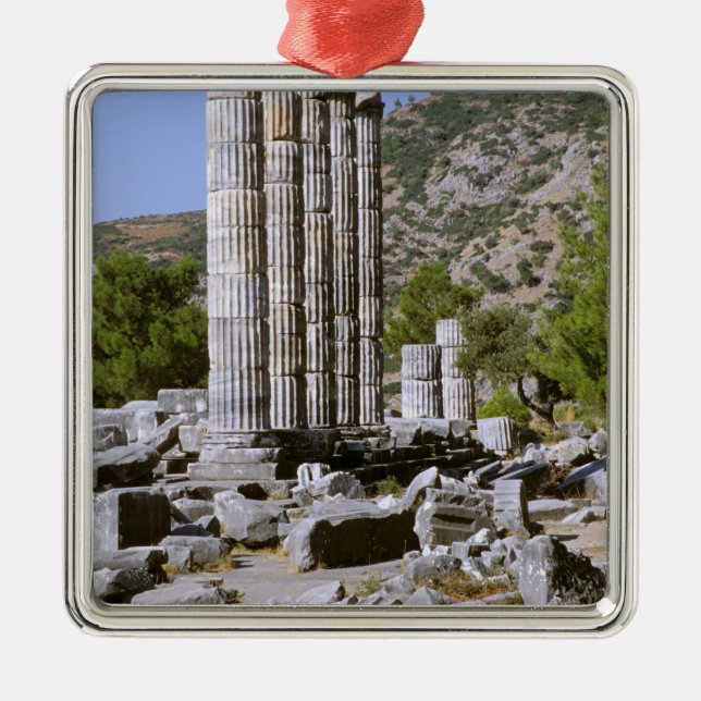 Asia, Middle East, Turkey, Ephesus. Temple of Metal Tree Decoration (Front)