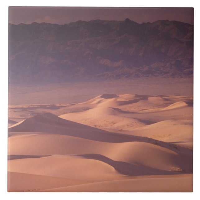 Asia, Mongolia, Gobi Desert, Gobi Gurvansaikhan Tile (Front)