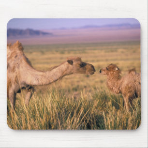 Asia, Mongolia, Gobi Desert, Great Gobi Mouse Pad