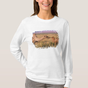 Asia, Mongolia, Gobi Desert, Great Gobi T-Shirt