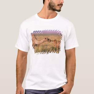 Asia, Mongolia, Gobi Desert, Great Gobi T-Shirt