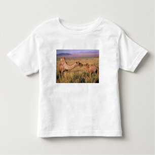 Asia, Mongolia, Gobi Desert, Great Gobi Toddler T-Shirt