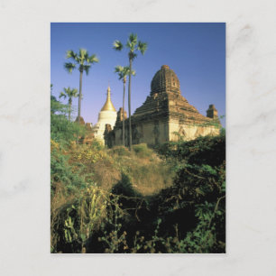 Asia, Myanmar, Bagan. Kubyauk-Gyi Temple. Postcard