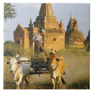 Asia, Myanmar (Burma), Bagan (Pagan). A cart is Tile