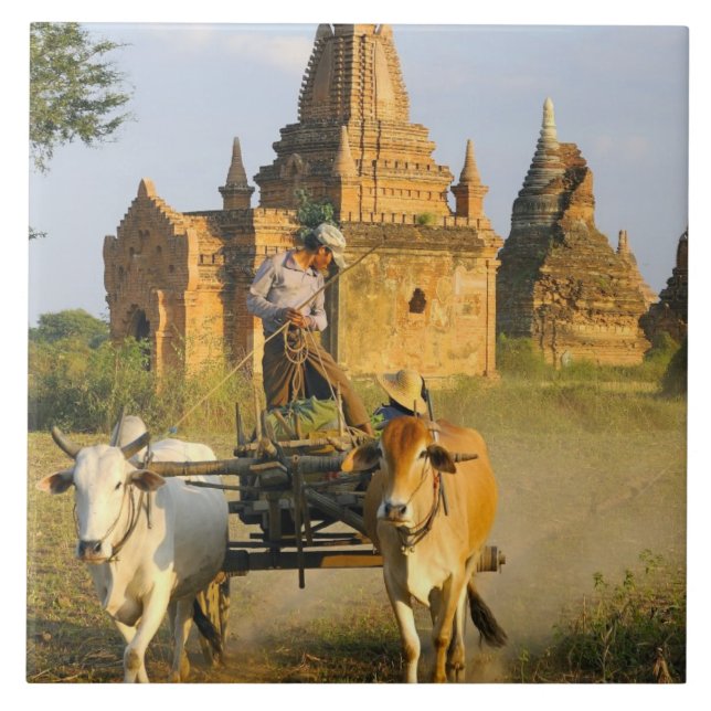 Asia, Myanmar (Burma), Bagan (Pagan). A cart is Tile (Front)