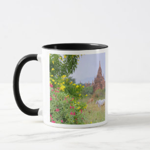 Asia, Myanmar (Burma), Bagan (Pagan). Cows Mug
