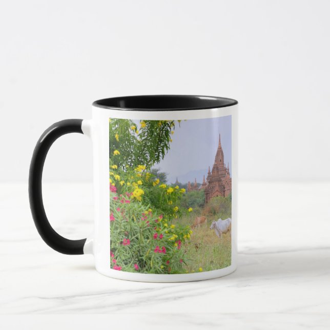 Asia, Myanmar (Burma), Bagan (Pagan). Cows Mug (Left)