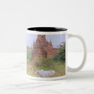 Asia, Myanmar (Burma), Bagan (Pagan). Cows Two-Tone Coffee Mug