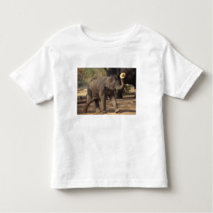 Asia, Thailand, Lampang Bowing with hat - Thai Toddler T-Shirt