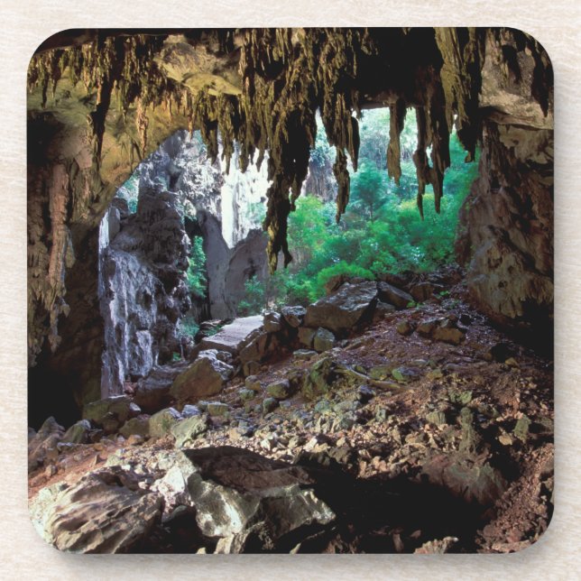 Asia, Thailand, Phangnga Bay NP Coaster (Front)