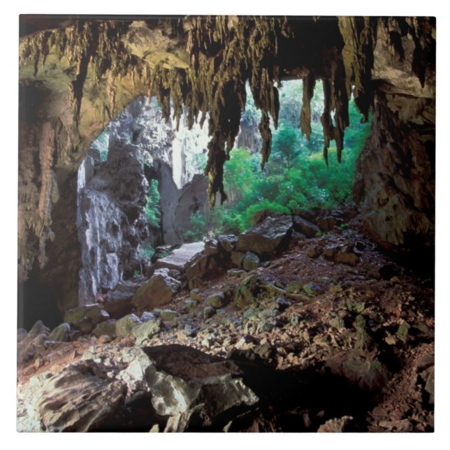 Asia, Thailand, Phangnga Bay NP Tile (Front)