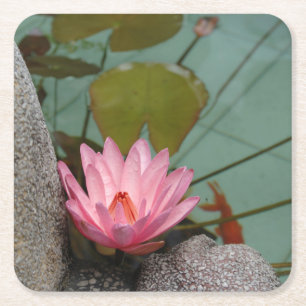 Asia, Vietnam. Water lily in a temple pond Square Paper Coaster