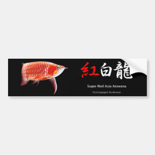 Asian Arowanaのバンパーステッカー,No.01 Bumper Sticker