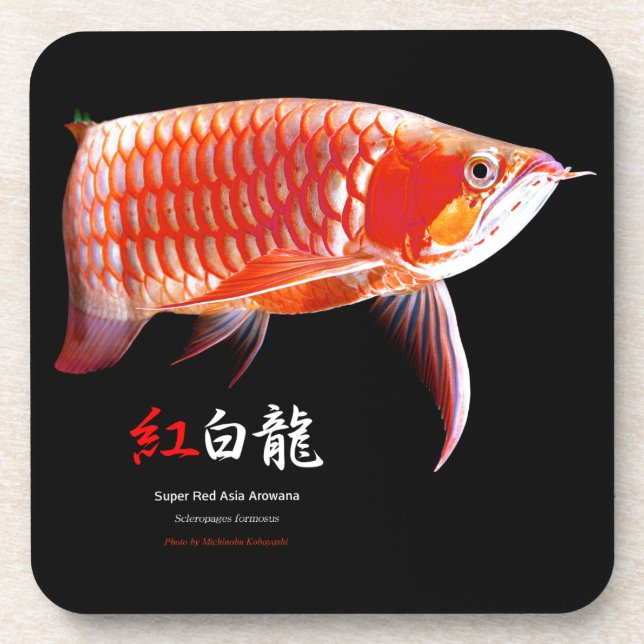 Asian Arowana の優良製品 Coaster (Front)