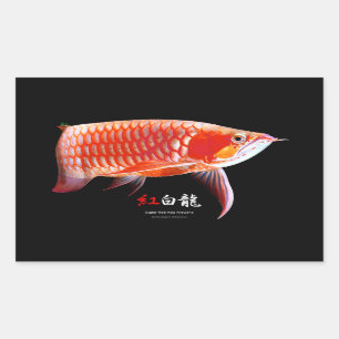 Asian Arowana Best Of Breed Rectangular Sticker