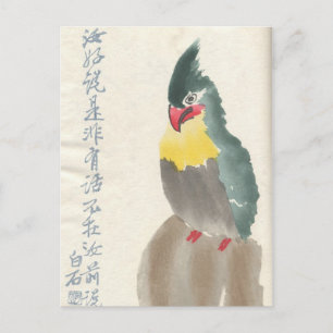 Asian Bird Vintage Postcard