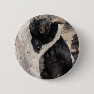 Asian Black Bear 6 Cm Round Badge