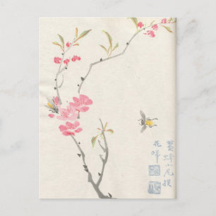 Asian Blossoms Vintage Postcard