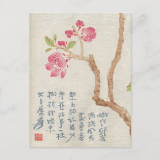 Asian Cherry Blossom Vintage Postcard
