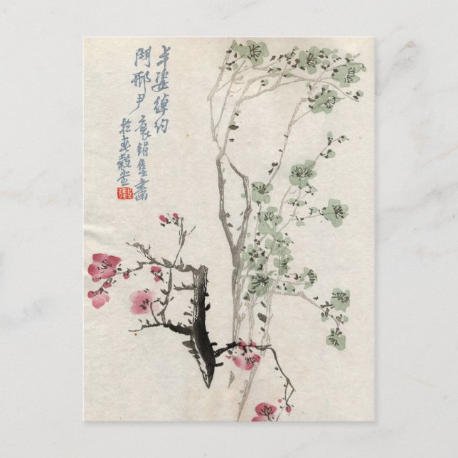 Asian Cherry Blossoms Vintage Postcard (Front)